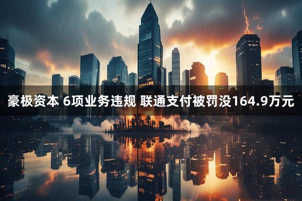 豪极资本 6项业务违规 联通支付被罚没164.9万元