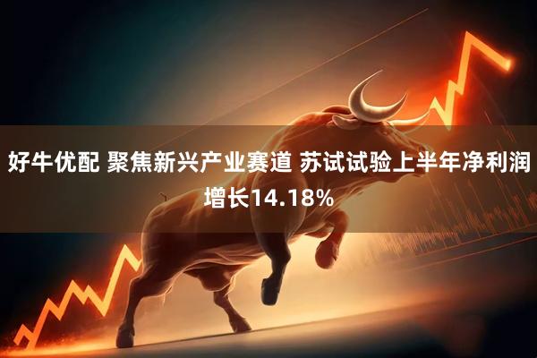 好牛优配 聚焦新兴产业赛道 苏试试验上半年净利润增长14.18%