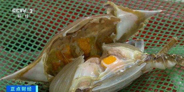 联富配资 来尝今年第一口鲜！东海迎来“小开渔”，梭子蟹大降价